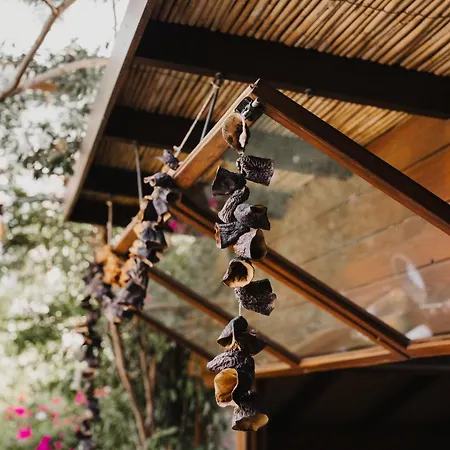 Hotel Pachamama Alaçatı